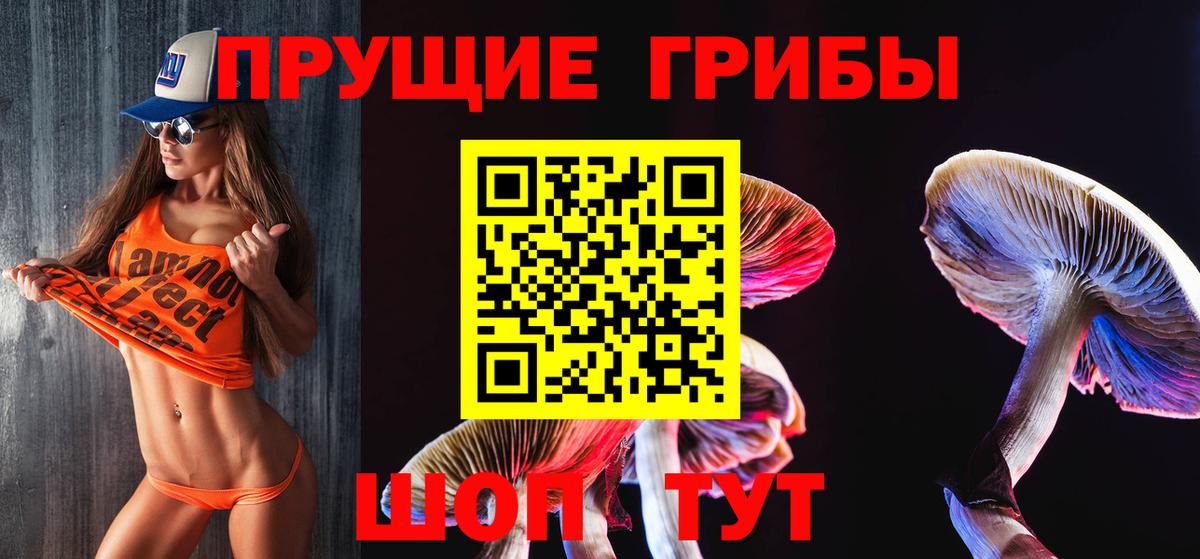 Псилоцибиновые грибы Cubensis  Вход с VPN  Павловский Посад  Псилоцибиновые грибы Magic Shrooms 