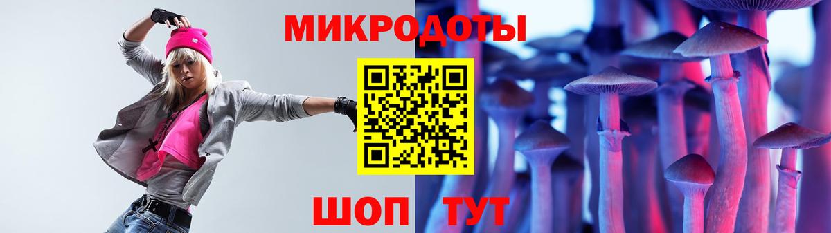 Псилоцибиновые грибы прущие грибы Павловский Посад